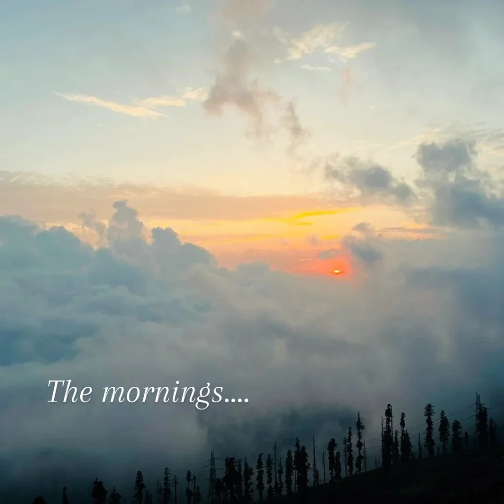 Morning Light