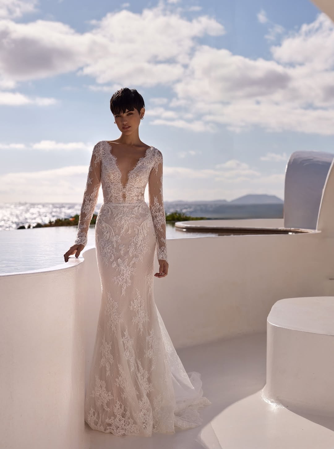 Fitted Mermaid Gown with Sheer Sleeves